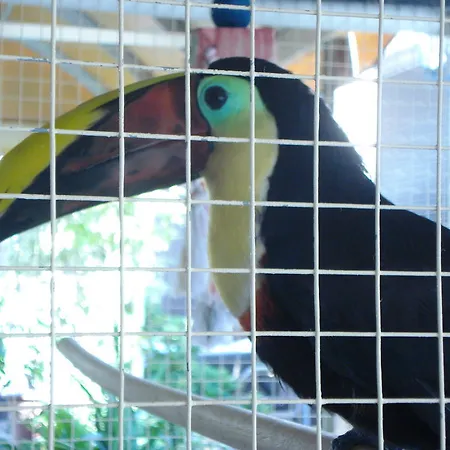 Nicole Gigantes By Estrella Del Norte Апартаменты