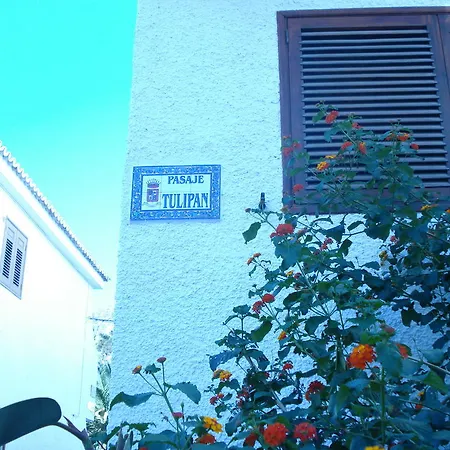 Nicole Gigantes By Estrella Del Norte