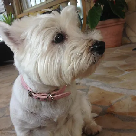 Апартаменты Nicole Gigantes By Estrella Del Norte Пуэрто-де-Сантьяго